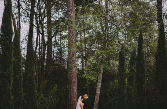houston wedding ideas