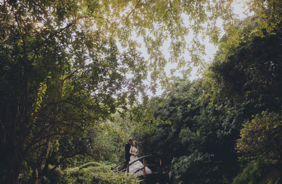 austin texas zilker park wedding