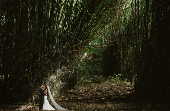 el-yunque-wedding-photographers
