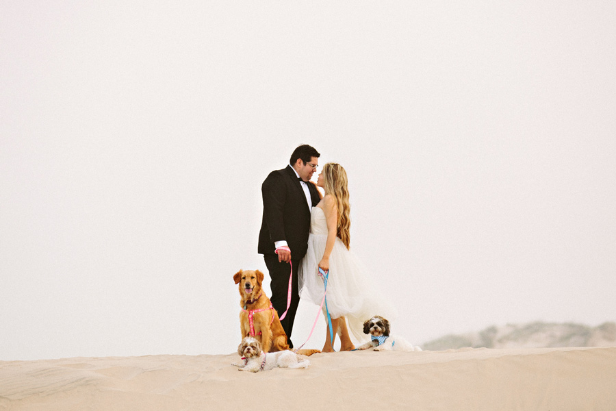 pets in weddings