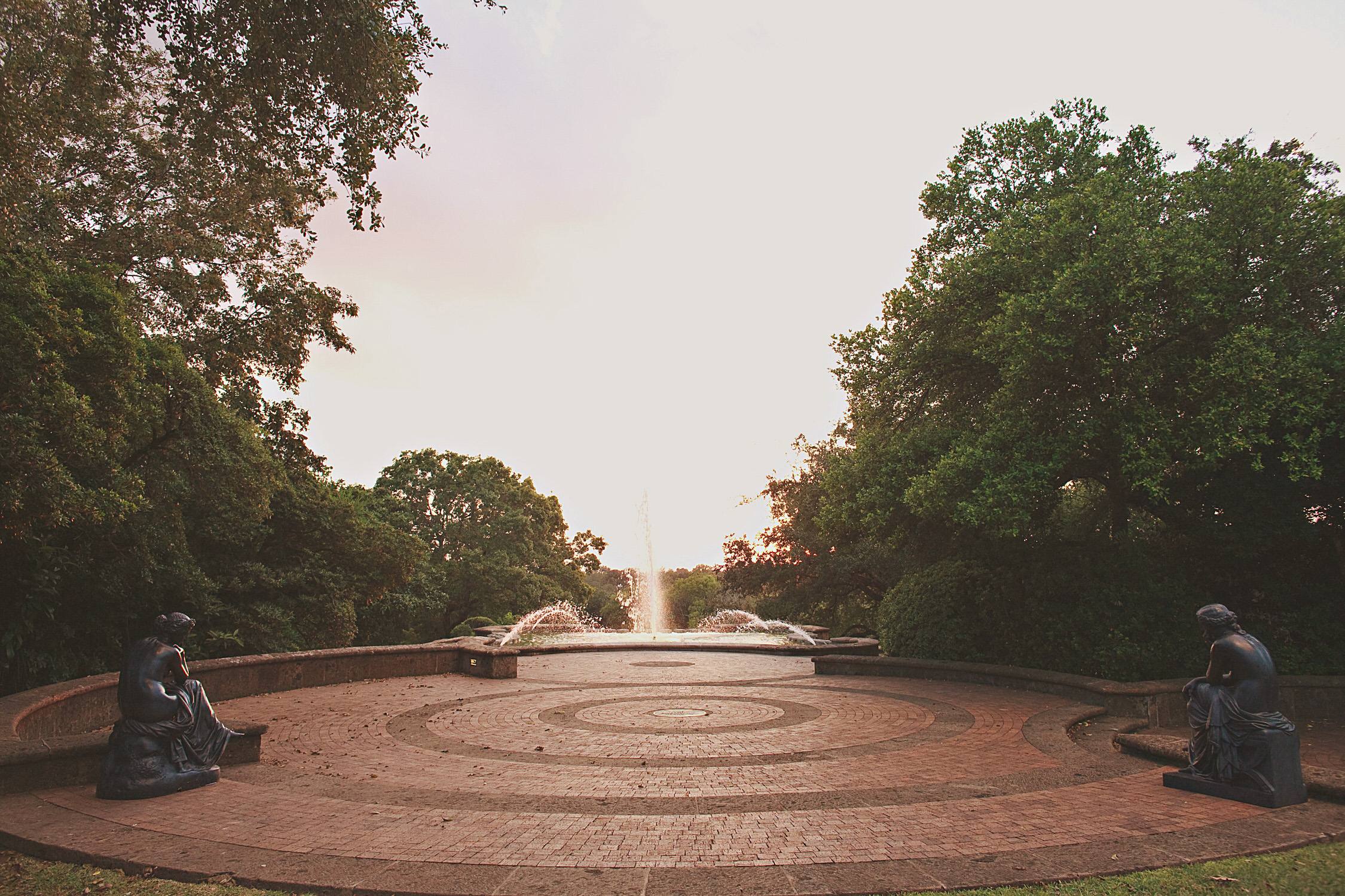 mcnay weddings